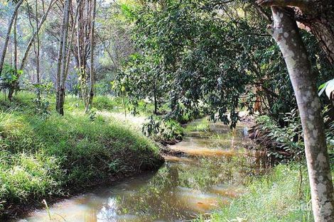 Property photo of 256 Dr Pages Road Cootharaba QLD 4565