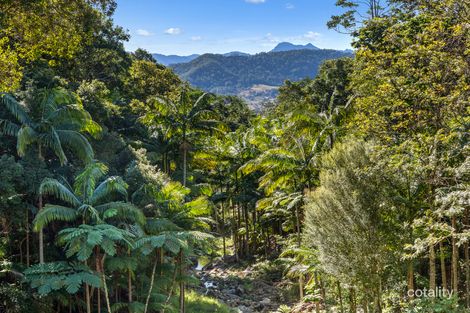 193 Hidden Valley Rd, Mount Warning, NSW 2484