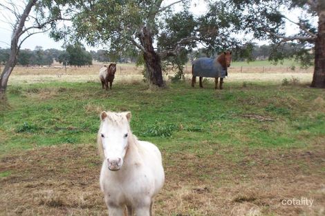 Property photo of 97 Rodeo Drive Cootamundra NSW 2590