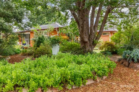 Property photo of 46 Burn Street Downer ACT 2602