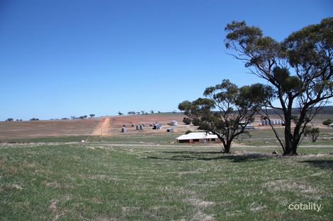 Property photo of 11 Jacamar Drive Northam WA 6401