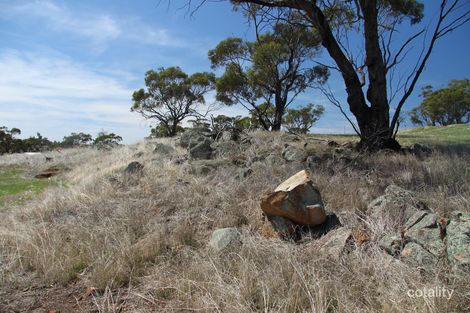 Property photo of 11 Jacamar Drive Northam WA 6401