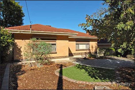 Property photo of 3 North Boulevard Tea Tree Gully SA 5091