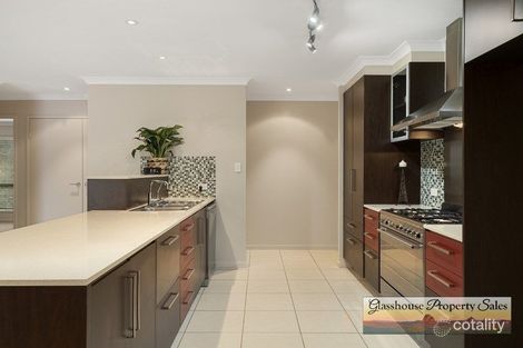 Property photo of 19 Yellow Cedar Place Palmwoods QLD 4555