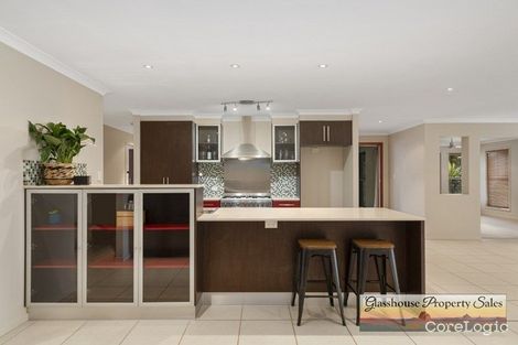 Property photo of 19 Yellow Cedar Place Palmwoods QLD 4555