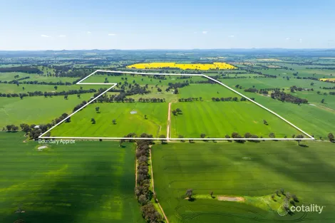 406 Crawleys Rd, Henty, NSW 2658
