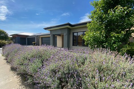 Property photo of 8 Corboy Close Point Cook VIC 3030