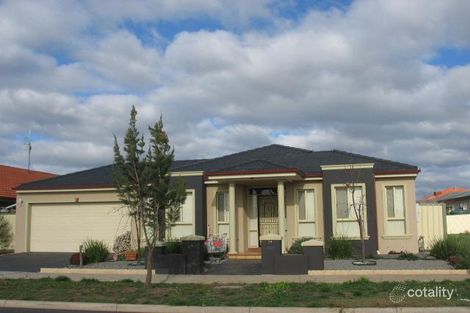 24 Egret Cres, Cairnlea, VIC 3023