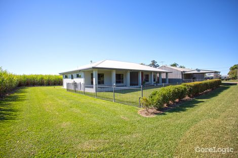 Property photo of 162 Doyles Road Balnagowan QLD 4740