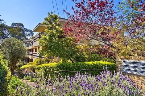 Property photo of 9/228-230 Longueville Road Lane Cove NSW 2066