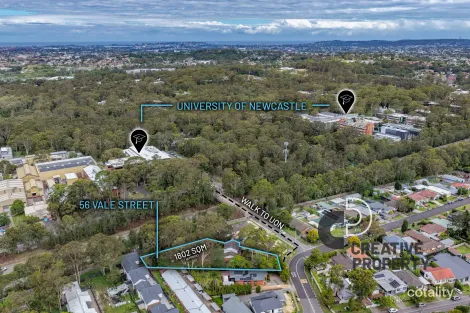 56 Vale St, Birmingham Gardens, NSW 2287