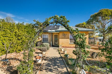 Property photo of 6 Bonnar Street Barmera SA 5345