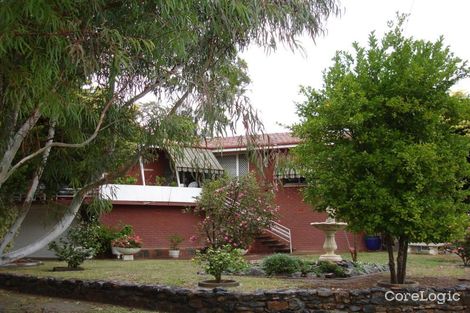 Property photo of 87 Bourke Street Tamworth NSW 2340