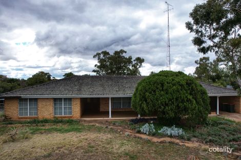 47 Umang St, Tottenham, NSW 2873