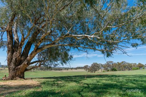 87 Bargwanna Rd, Spring Creek, NSW 2800