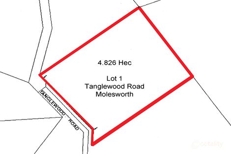 Property photo of 23 Tanglewood Road Molesworth TAS 7140