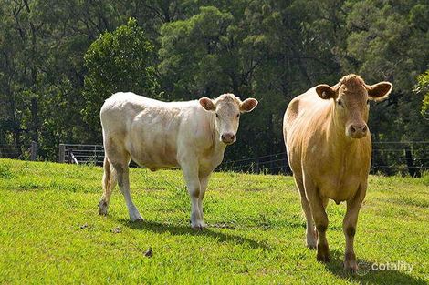 Property photo of 102A Savages Road Brookfield QLD 4069