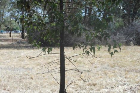 36 Crowther St, Koorawatha, NSW 2807