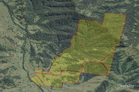 2494 Salisbury Rd, Salisbury, NSW 2420