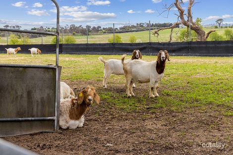 Property photo of 1480 Yass Valley Way Yass NSW 2582