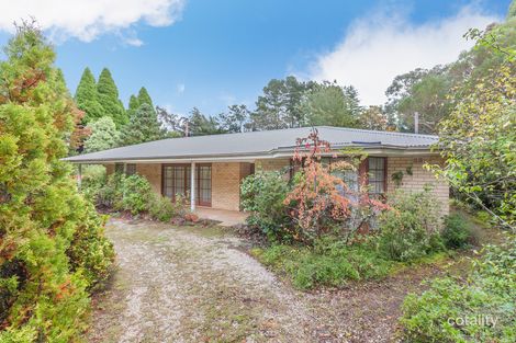 15 Pauline Ave, Wentworth Falls, NSW 2782