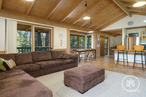 Property photo of 17 Settlement Court Sawmill Settlement VIC 3723