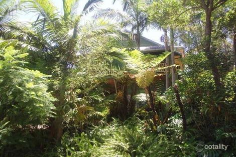 Property photo of 14 Nyes Crescent Buderim QLD 4556