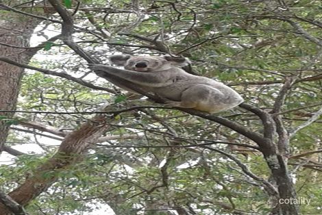 155 Ryan Rd, Wolvi, QLD 4570