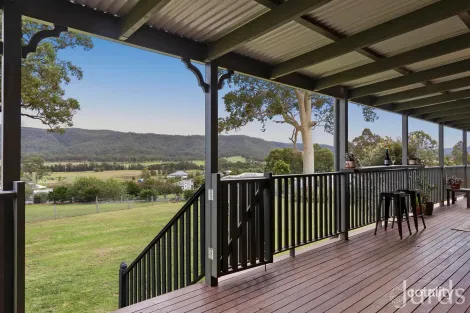 Property photo of 46 Davis Street Millfield NSW 2325