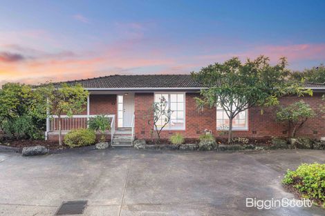 Property photo of 6/22 Middleborough Road Burwood East VIC 3151