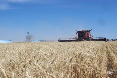 43 Forrester Lane, Woorinen South, VIC 3588