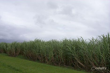 10 Rushworth Rd, Gordonvale, QLD 4865