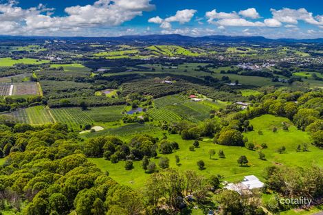 985 Hinterland Way, Bangalow, NSW 2479