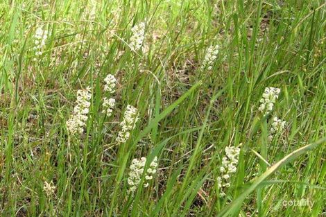 Property photo of 8 High Street Belair SA 5052