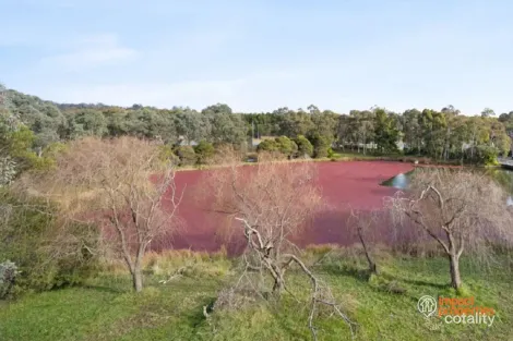 Property photo of 52/2 Eardley Street Bruce ACT 2617