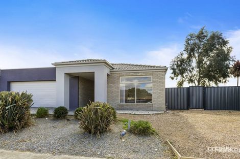 Property photo of 11 Pinjar Avenue Tarneit VIC 3029