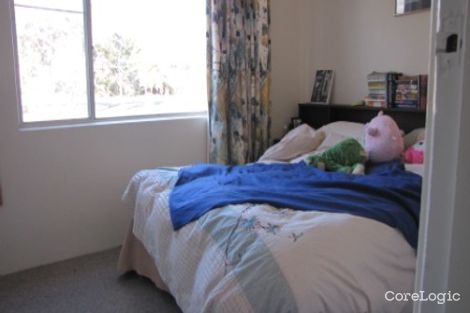 Property photo of 8/6 Wilkins Street Mawson ACT 2607
