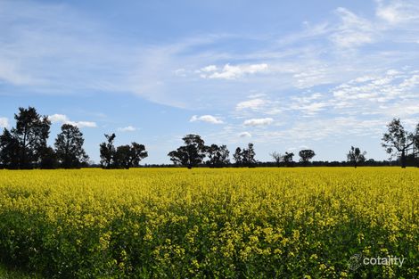 500 Mossdale Rd, Balldale, NSW 2646