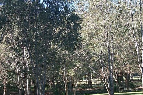 142-146 Victor St, Birkdale, QLD 4159