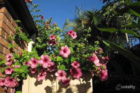 Property photo of 14 Bearke Place Bracken Ridge QLD 4017