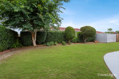 Property photo of 7 Brushtail Crescent Doolandella QLD 4077