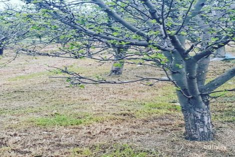 Property photo of 45 Ely Street Dysart TAS 7030