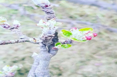 Property photo of 45 Ely Street Dysart TAS 7030