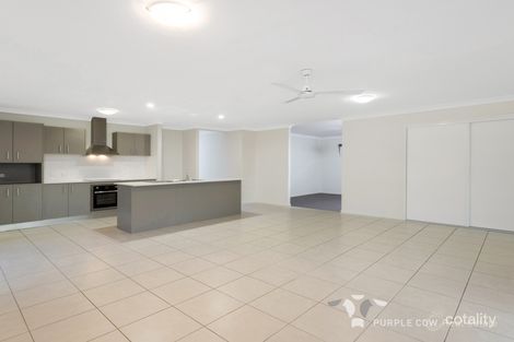 Property photo of 30 Broadaxe Street Spring Mountain QLD 4300