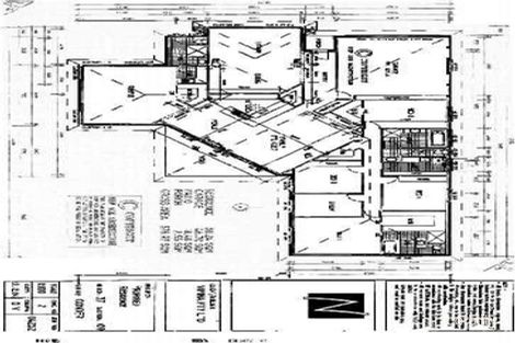 Property photo of 25 Freeman Street Conder ACT 2906