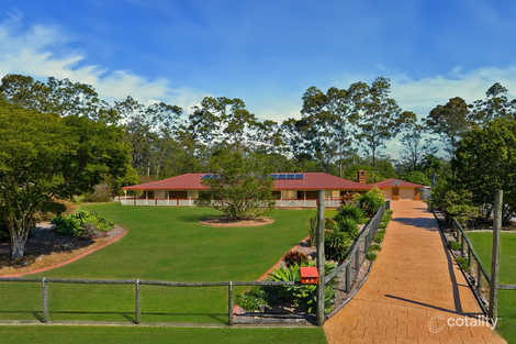 Property photo of 67 Forestdale Drive Forestdale QLD 4118