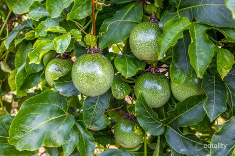 Property photo of 86 Simpsons Road Bullyard QLD 4671