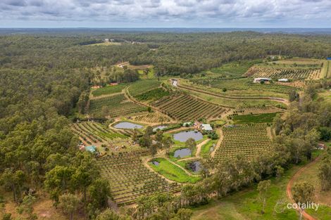 Property photo of 86 Simpsons Road Bullyard QLD 4671