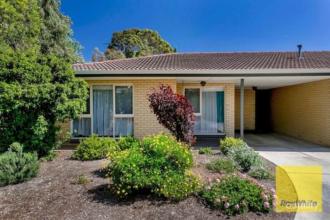 Property photo of 4/75 Fifth Avenue Joslin SA 5070