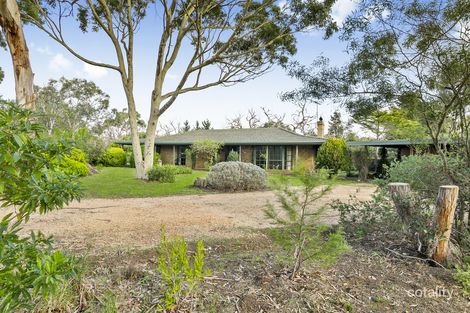 Property photo of 590 Great Ocean Road Bellbrae VIC 3228